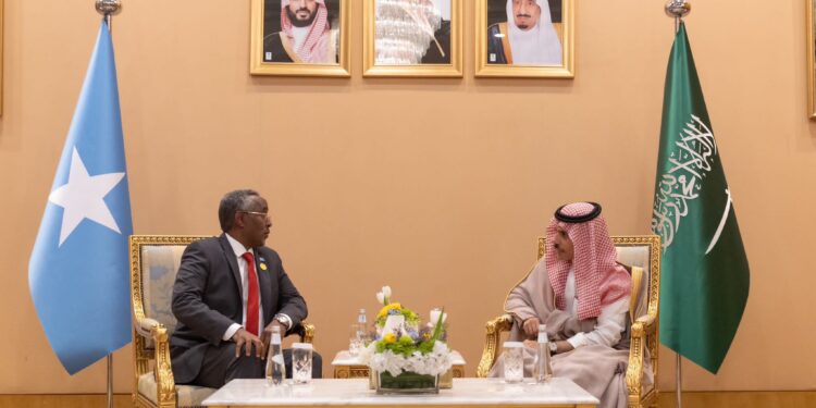 Somalia and Saudi Arabia Forge Nearer Ties with New Cooperation Settlement – Somali Nationwide Information Company