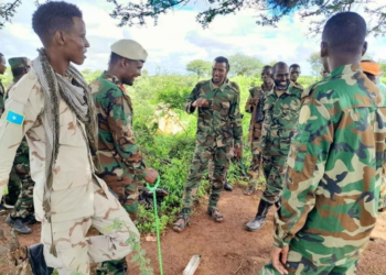 Somali Nationwide Military conducts deliberate operations in Bakool area – Somali Nationwide Information Company