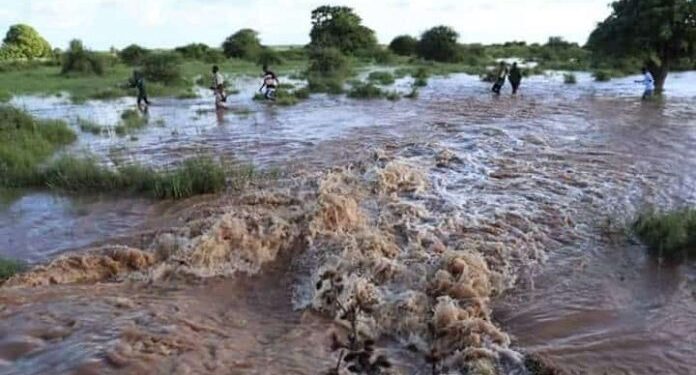Not less than 40 individuals lifeless in Kenya and Somalia flash floods
