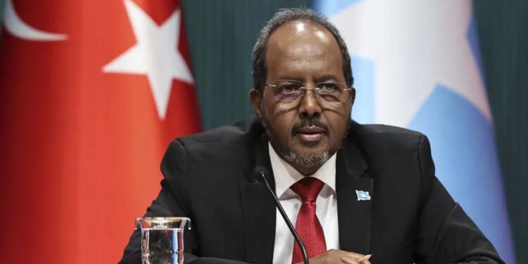 Turkey points arrest warrant for Somali president’s son over deadly visitors crash