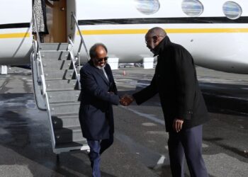 Somalia Convenes Excessive-Stage Assembly on Safety and Reconstruction – Somali Nationwide Information Company