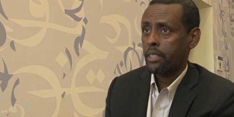 FGS ‘prescription of a dual-party system is misguided’, Somali political analyst says