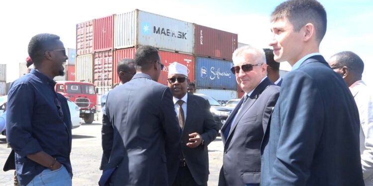 Somalia receives donation of grain from Russia