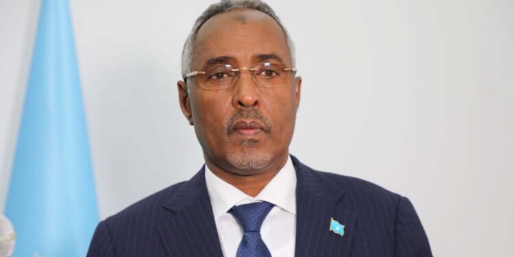 Somalia’s FM resigns to run in subsequent month’s Puntland presidential election