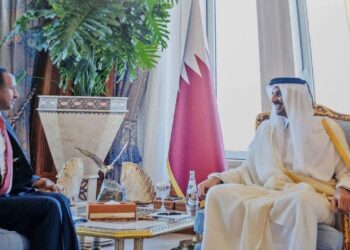 Somalia’s new ambassador presents credentials to Qatar’s emir