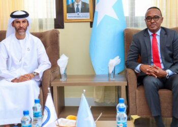 Somalia asks UAE for assist to rebuild bridges destroyed by floods
