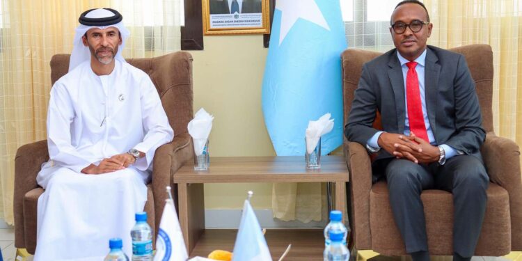 Somalia asks UAE for assist to rebuild bridges destroyed by floods
