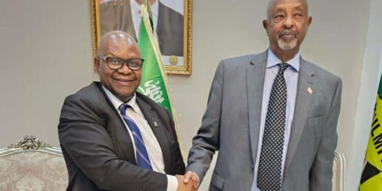 Somaliland asks South Africa to fast-track its AU recognition