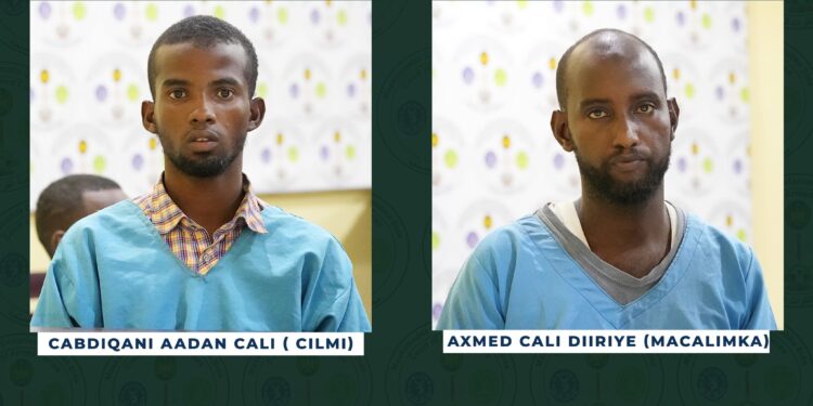Somalia Court docket arms down jail sentences in opposition to ISIS militants