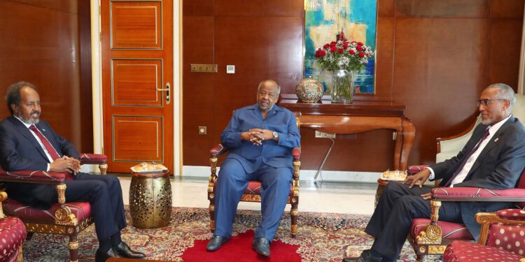 Somalia, Somaliland presidents ‘attend assembly in Djibouti to renew talks’