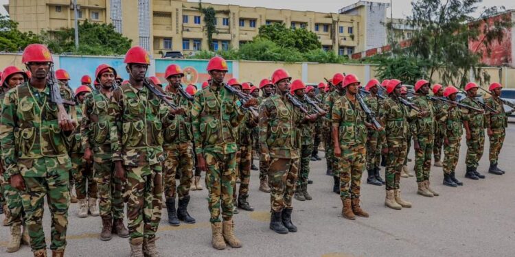 Somali troops take full cost of presidential and parliament safety