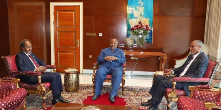 Somali president meets with Somaliland chief in Djibouti