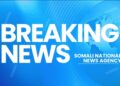 Over 80 Al-Shabaab Killed in Main Somalia Victory as Troops Liberate Aad – Somali Nationwide Information Company