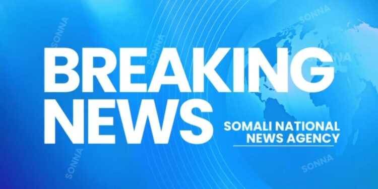 Over 80 Al-Shabaab Killed in Main Somalia Victory as Troops Liberate Aad – Somali Nationwide Information Company