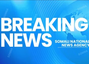 Somali Nationwide Military & US Air Power Neutralize 10 Al-Shabab Terrorists, Thwart Assault Plot – Somali Nationwide Information Company