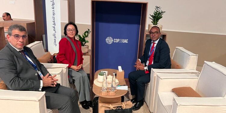 Somalia and UNDRR strengthen partnership on catastrophe threat discount at COP28 – Somali Nationwide Information Company