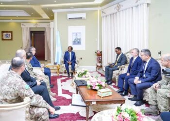 Somali President Meets Turkish Navy Delegation – Somali Nationwide Information Company