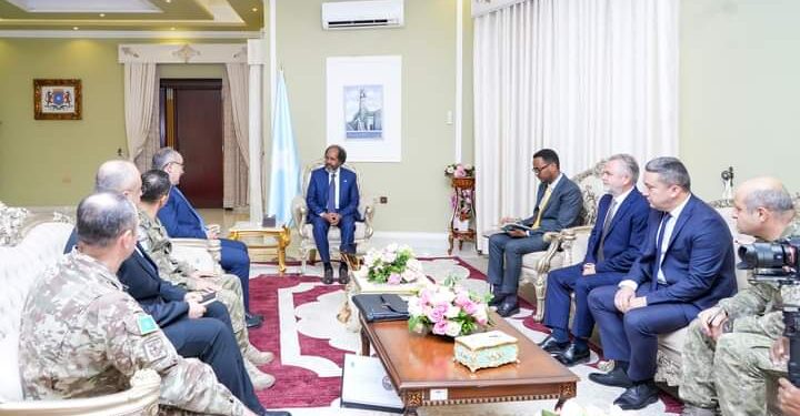 Somali President Meets Turkish Navy Delegation – Somali Nationwide Information Company