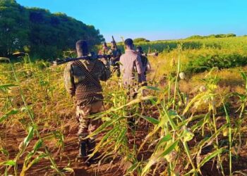Somali Nationwide Military conducts operations in Bay area – Somali Nationwide Information Company