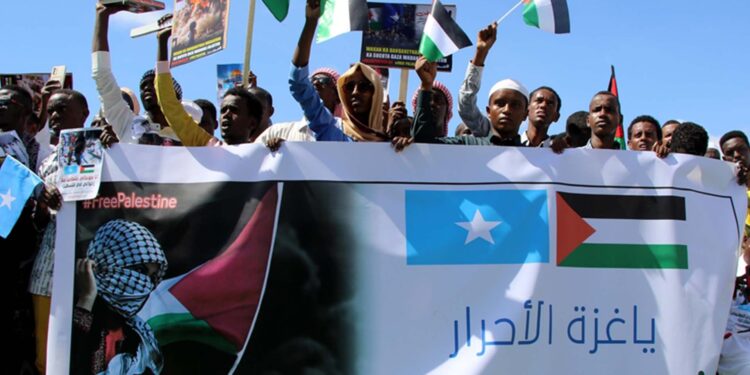 Somalia welcomes ICJ ruling ordering Israel to forestall acts of genocide in Gaza