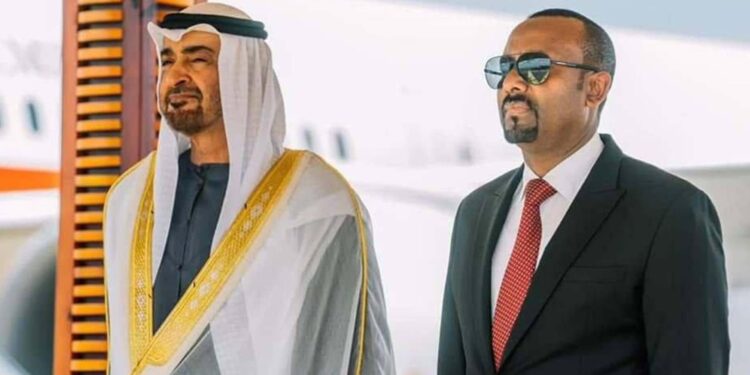 UAE ‘may be the following mover’ if Ethiopia acknowledges Somaliland