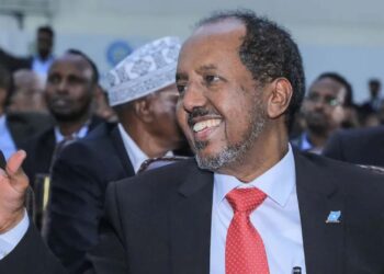 Somalia says ‘no house for mediation except Ethiopia retracts’ MoU with Somaliland