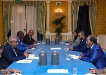 Somalia, Comoros presidents focus on ‘regional problems with mutual curiosity’