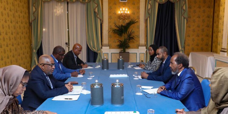 Somalia, Comoros presidents focus on ‘regional problems with mutual curiosity’