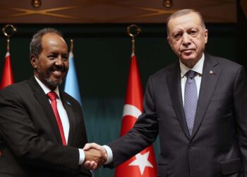 Turkey takes sides with Somalia after Ethiopia-Somaliland Purple Sea entry deal