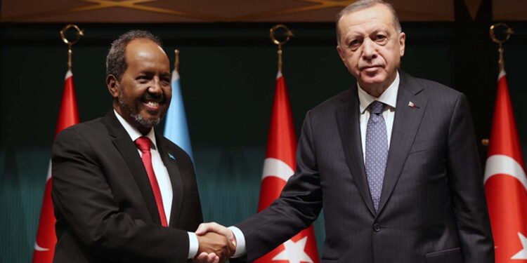 Turkey takes sides with Somalia after Ethiopia-Somaliland Purple Sea entry deal
