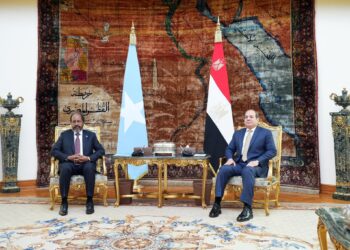 Al-Sisi Says Egypt Will Not Enable Any Risk to Somalia or Its Safety