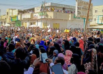 Large protests rock Somaliland as Crimson Sea entry take care of Ethiopia unleashes fury