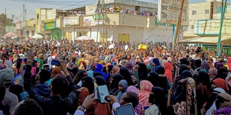 Large protests rock Somaliland as Crimson Sea entry take care of Ethiopia unleashes fury