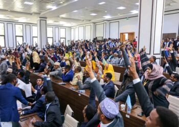 The rubber-stamp Somalia bicameral legislature endorses government energy seize – Puntland Publish