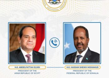 Somalia and Egypt pledge to spice up cooperation amid regional turmoil – Somali Nationwide Information Company