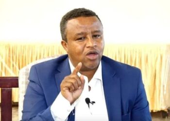 A Regulation Professor Urges Somaliland Parliament to Reject the Maritime Memorandum of Understanding – Puntland Publish