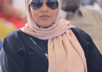 Blue Hanger plane restore heart reopens after 34 years – Somali Nationwide Information Company