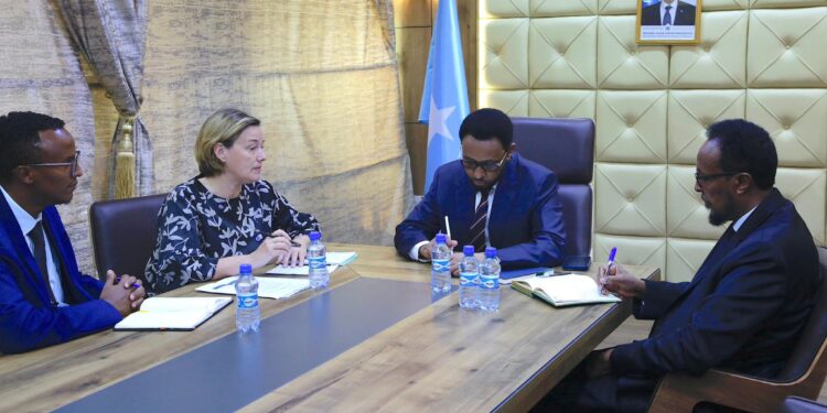 Minister of Finance receives World Financial institution representatives – Somali Nationwide Information Company