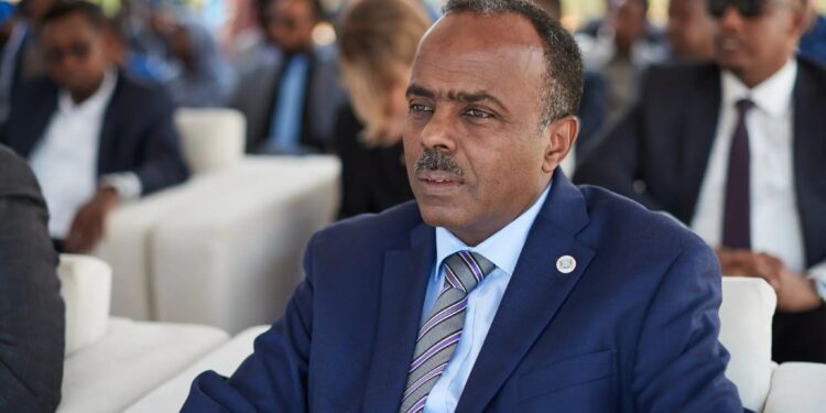 Questions Stay Unanswered on the Somalia-Ethiopia Defence Pact – Puntland Submit