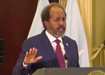 Somalia’s parliament ratifies protection settlement with Turkey