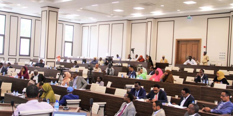 Somali MPs smuggle pistols and scissors into parliament session