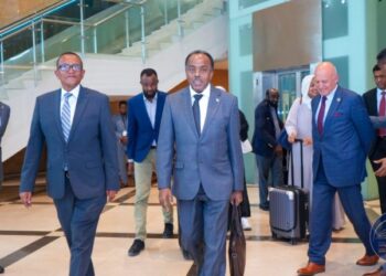 Wafdi ka socda dowladda Soomaaliya oo gaaray Addis Ababa + Ujeedka