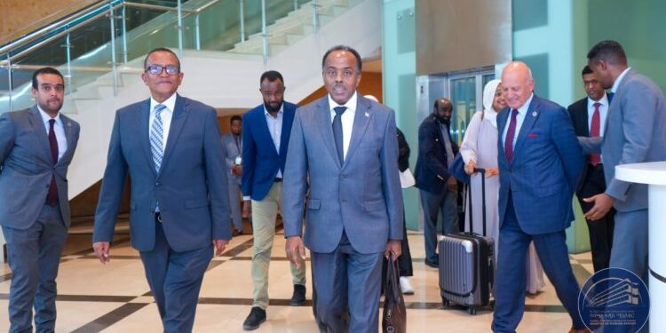 Wafdi ka socda dowladda Soomaaliya oo gaaray Addis Ababa + Ujeedka