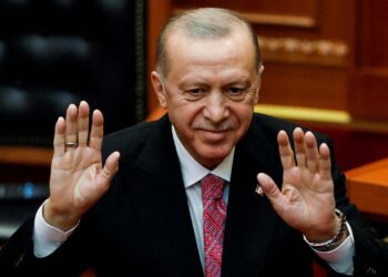 Turkey to supply maritime safety assist to Somalia – official