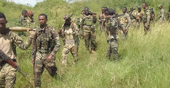 Dowladda Soomaaliya oo sheegtay in ay dishay in ka badan 30 Shabaab ah oo horjoogayaal ku jiraan – Puntland Publish