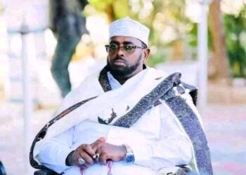 Boqor Buurmadow Renounces Nepotism, However Rejects Somalia’s Sovereignty – Puntland Put up