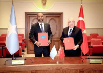 Somali Parliament Ratifies Défense and Financial Cope with Turkey – Somali Nationwide Information Company