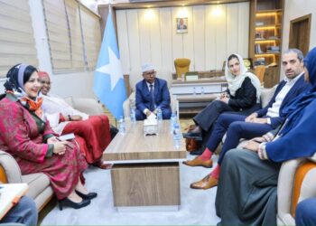 Minister of Inside meets officers from peace and battle decision company – Somali Nationwide Information Company