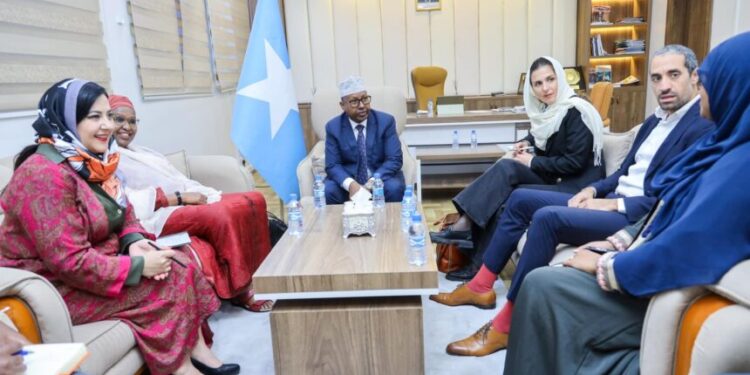Minister of Inside meets officers from peace and battle decision company – Somali Nationwide Information Company