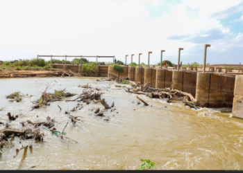 Somali Catastrophe Administration Company and Hirshabelle Officers Examine Sabun Dam – Somali Nationwide Information Company